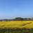 irvingyao