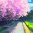 邱月白