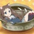 ccneko