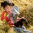 书香农家