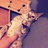 老孔家的猫
