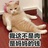 二毛萌石头
