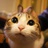 城市猎人
