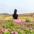 静待花开
