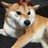 ken