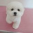 联保犬舍