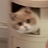 圆点点
