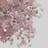 木头