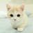 Iris_Z