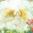 夏★绮步