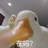 豆友
