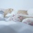 Orangecat
