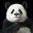 李小布
