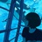安妮住在水族馆