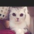 molly