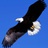 newsky18