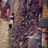 seven--seven-