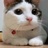 狗背包