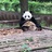 书抒