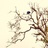 青豆