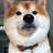ᶘ ᵒvᵒᶅ