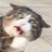 自己猜去吧