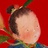 TJ松子