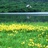 麦兜你瘦了1015