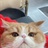 鸟鸣