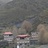 田陌