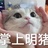 莉贝儿Lily