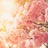 花锦慧