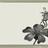 子沨