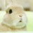 松杉云冷