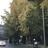 托马斯