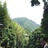 飞