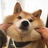 Mr.莫霍