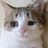 i人