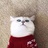 不会剪辑的猫