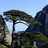 黄山