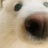 兔兔酱