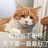 爬墙小透明