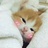 芬妮儿