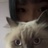 Lilyy