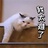 穆寒