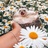 sunshine