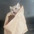 猫团