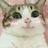 NyanNyan酋长