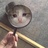 文和
