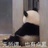 小萌萌爱吃草